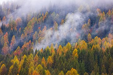 Herfst in de Dolomieten, Italië van Henk Meijer Photography