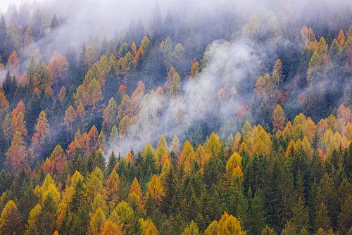 Herfst in de Dolomieten, Italië