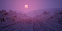 Bandensporen in een wintersneeuwlandschap bij zonsondergang.