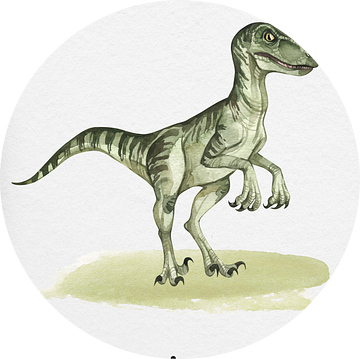 Velociraptor van Gal Design