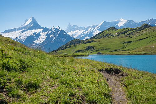 idyllisch berglandschap Grindelwald Eerst