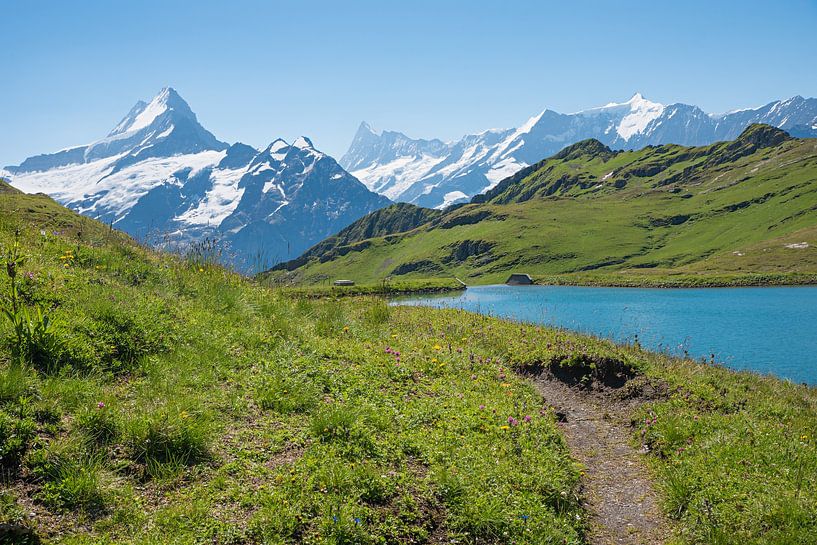 idyllic mountain landscape Grindelwald First by SusaZoom