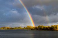 Schöner Regenbogen mit Sonnenlicht auf den Bäumen