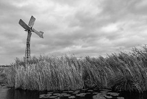 Een windmolen in de weerribben