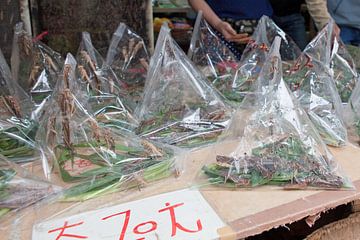 Insectenverkoop op de vogelmarkt van Hong Kong
