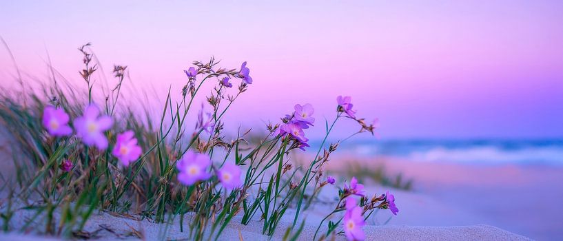 Flowering plants on the beach - Gentle by Poster Art Shop