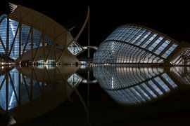 Valencia - City of Arts and Sciences