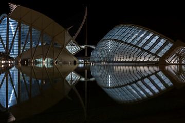 Valencia - City of Arts and Sciences van Bas Bakema