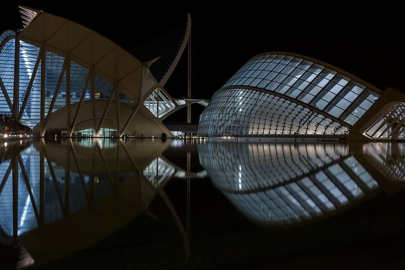 Valencia - City of Arts and Sciences von Bas Bakema
