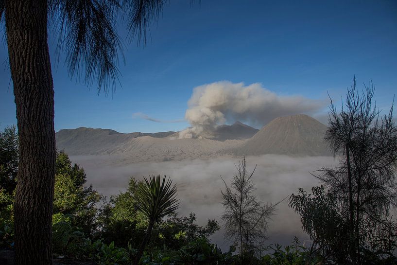 Bromo (vulkaan) indonesie by Jan Pel