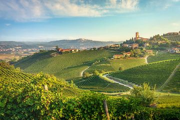 Het dorp Barbaresco en de wijngaarden van Langhe, Piemonte, Italië van Stefano Orazzini