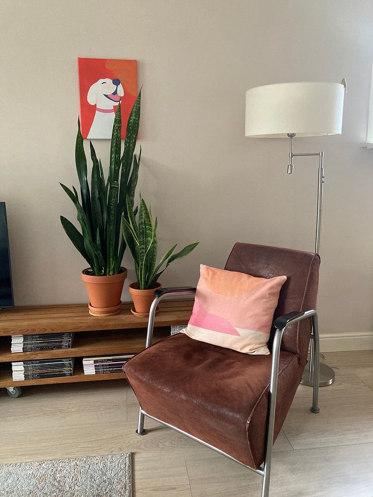 Glücklicher Labradoodle  von Hugo Goudswaard 