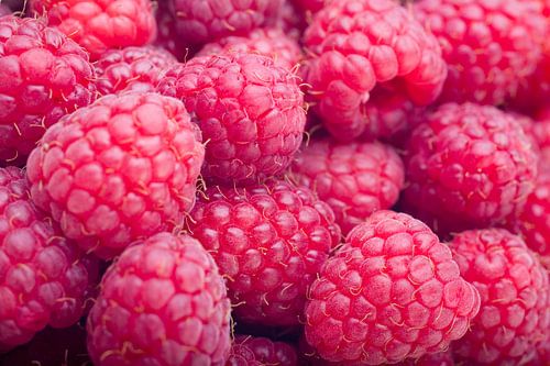 Fresh raspberries