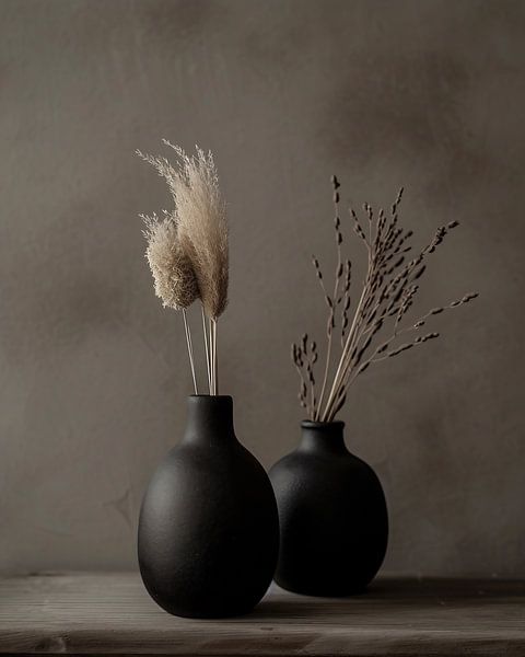 Esthetisch stilleven van fernlichtsicht