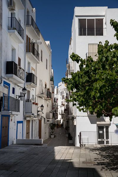 Gasse in Ibiza Stadt von Alexander Wolff