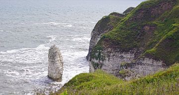 Flamborough Cliffs van Babetts Bildergalerie