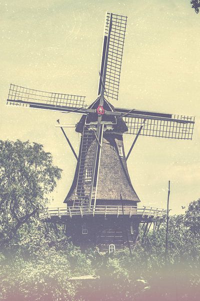 Molen de Hoop Sumar van Wolbert Erich