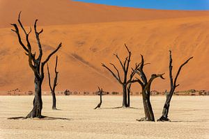 Sossusvlei Namibië (11) van Adelheid Smitt