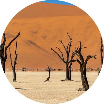 Sossusvlei Namibië (11) van Adelheid Smitt