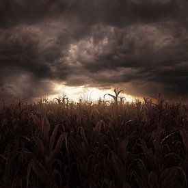 Somber landschap van een verdord korenveld bij zonsondergang van Besa Art