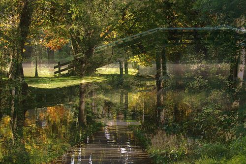 Abstracte fotografie | Fine Art Nature | Goudenlicht