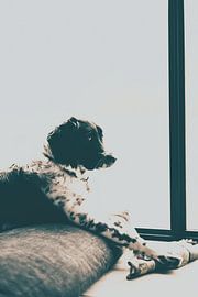 Great friend. by Theo Radings