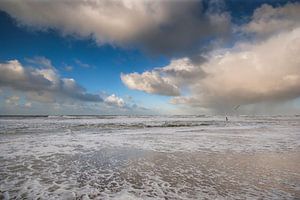 Zee en strand bij Paal 9 Texel