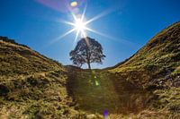 Hadrian's Wall