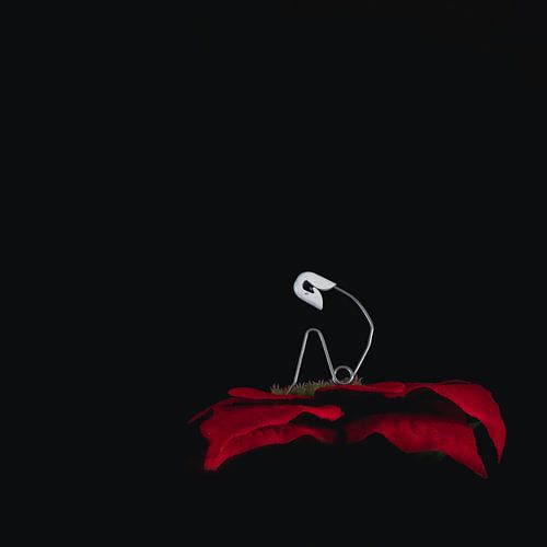 Safety pin sits on a flower