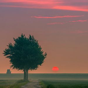 Sonnenaufgang im Norden von Groningen, Niederlande von Henk Meijer Photography