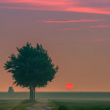 Lever du soleil au nord de Groningue, Pays-Bas