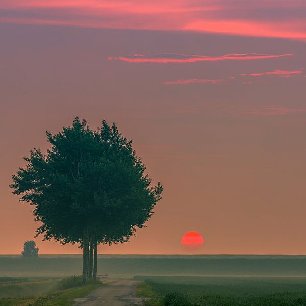 Zonsopgang in het noorden van Groningen, Nederland van Henk Meijer Photography