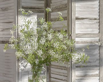 Vaas met uitbundig bloeiend Fluitenkruid voor wit houten kamerscherm van Mayra Fotografie