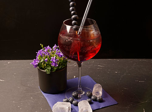 Bosbessen gin ontmoet in water.