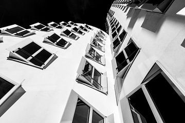 Gehry gebouwen van Dieter Walther