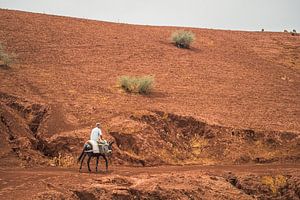 Een schaapsherder op weg naar huis tussen Fez en Meknes, Marokko van Tobias van Krieken