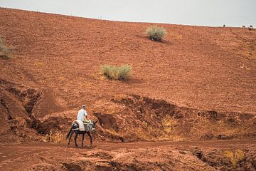 Ein Schafhirte auf dem Heimweg zwischen Fes und Meknes, Marokko von Tobias van Krieken