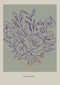 Botanica Line No 34