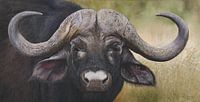 Buffel Afrikaanse Cape schilderij
