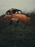 De vergeten VW Kever