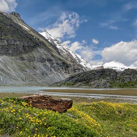 Großglockner und Sandersee, Nationalpark Hohe Tauern, Kärnten, Österreich von T. Berrevoet