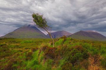 Sligachan Hooglanden van Patrick Lohmüller