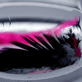 Abstract pink feather * Abstract roze van Amanda O.