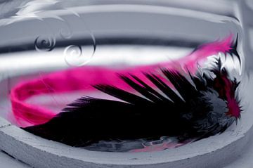 Abstract pink feather * Abstract roze van Amanda O.