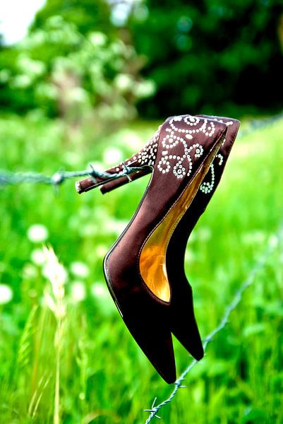 at the barbed wire fence by Norbert Sülzner