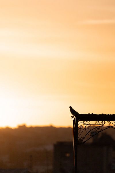 Die Stadt erwacht | Marokko von Marika Huisman fotografie