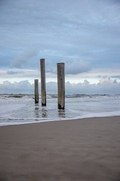 Palendorp strand Petten aan zee, Nederland van Eigenwijze Fotografie