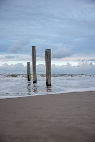 Palendorp strand Petten aan zee, Nederland