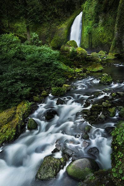 Waterval in het ongerepte natuurlandschap van Oregon in het noordwesten van de VS. van Voss fotografie