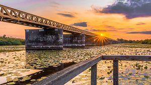 verlaten spoorbrug de Moerputten in ‘s-Hertogenbosch